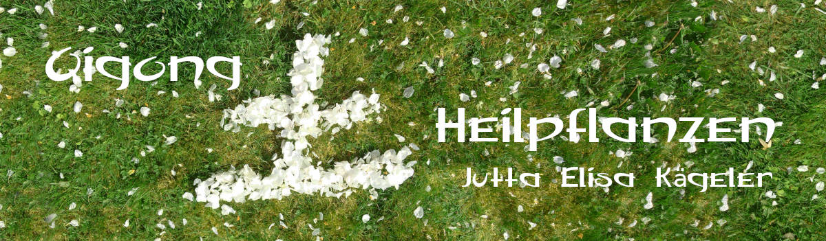 Banner Apfelbl�te