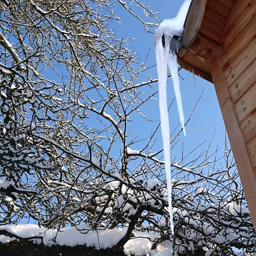 Apfelbaum mit Schnee